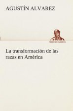 transformacion de las razas en America