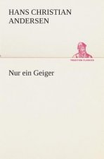 Nur ein Geiger