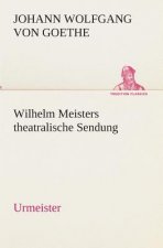 Wilhelm Meisters theatralische Sendung