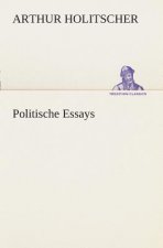 Politische Essays