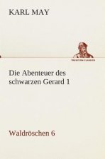 Abenteuer des schwarzen Gerard 1