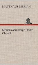 Merians anmuthige Stadte-Chronik