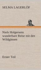 Niels Holgersens wunderbare Reise mit den Wildgansen