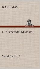 Schatz der Mixtekas