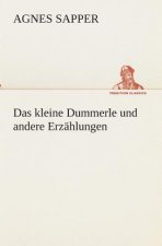 kleine Dummerle und andere Erzahlungen