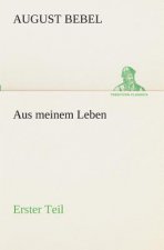 Aus meinem Leben - Erster Teil