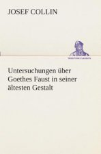 Untersuchungen uber Goethes Faust in seiner altesten Gestalt