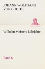 Wilhelm Meisters Lehrjahre - Band 6