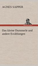 kleine Dummerle und andere Erzahlungen