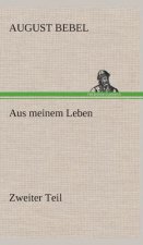 Aus meinem Leben - Zweiter Teil