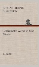 Gesammelte Werke in funf Banden - 1. Band