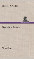blaue Fenster Novellen