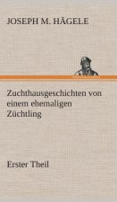 Zuchthausgeschichten von einem ehemaligen Zuchtling Erster Theil