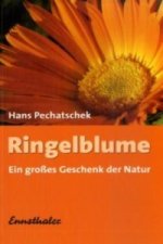 Ringelblume