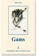 Gamswild