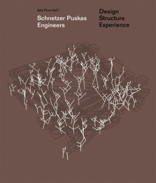Schnetzer Puskas Engineers - Design Structure Experience