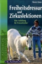 Freiheitsdressur und Zirkuslektionen