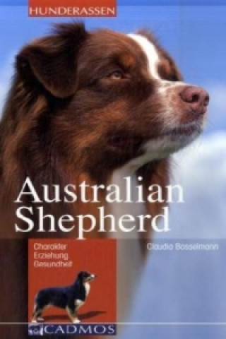 Australian Shepherd