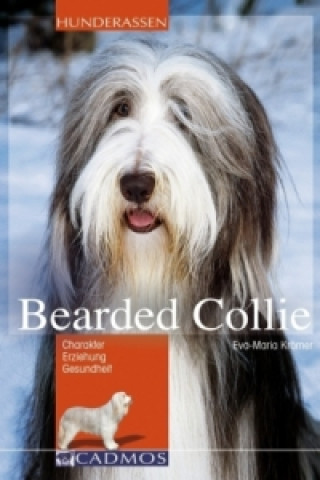 Bearded Collie