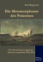 Metamorphosen des Polareises