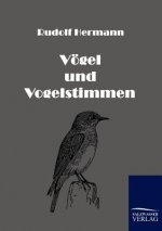 Voegel und Vogelstimmen