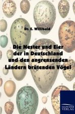 Nester und Eier der in Deutschland und den angrenzenden Landern brutenden Voegel