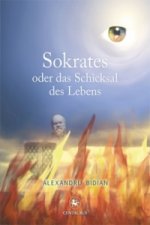 Sokrates oder das Schicksal des Lebens