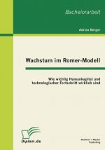 Wachstum im Romer-Modell