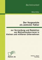 Vorgesetzte als zentraler Faktor zur Vermeidung und Reduktion von Motivationsbarrieren in kleinen und mittleren Unternehmen
