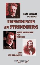 Erinnerungen an Strindberg nebst Nachrufen fur Ehrlich und von Bergmann