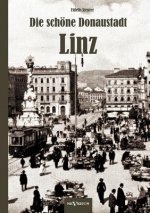 schoene Donaustadt Linz. Historischer Reisefuhrer von 1924 in 33 Photographien