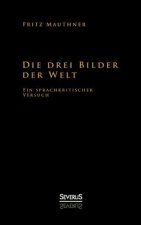 drei Bilder der Welt - ein sprachkritischer Versuch