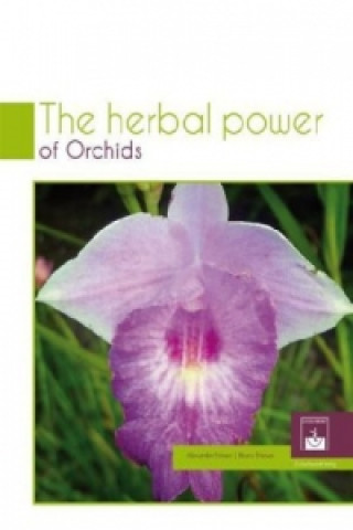 The Herbal Power of Orchids