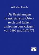 Beziehungen Frankreichs zu OEsterreich und Italien zwischen den Kriegen von 1866 und 1870/71