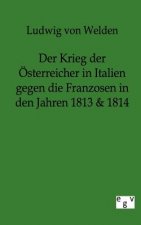 Krieg der OEsterreicher in Italien gegen die Franzosen in den Jahren 1813 & 1814