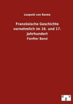 Franzoesische Geschichte vornehmlich im 16. und 17. Jahrhundert