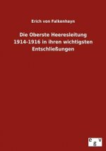 Oberste Heeresleitung 1914-1916 in ihren wichtigsten Entschliessungen