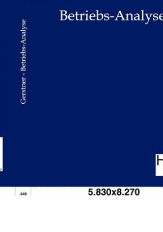 Betriebs-Analyse