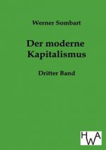 Moderne Kapitalismus