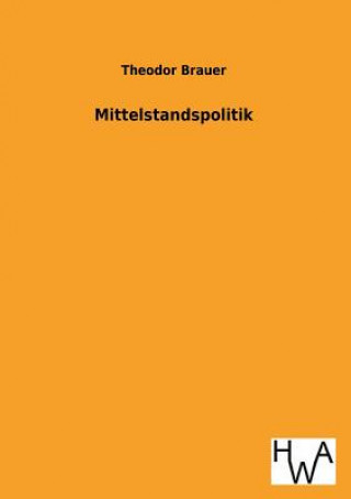 Mittelstandspolitik