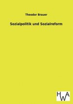 Sozialpolitik und Sozialreform