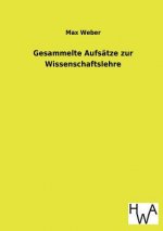 Gesammelte Aufsatze Zur Wissenschaftslehre