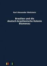 Brasilien und die deutsch-brasilianische Kolonie Blumenau