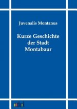 Kurze Geschichte der Stadt Montabaur