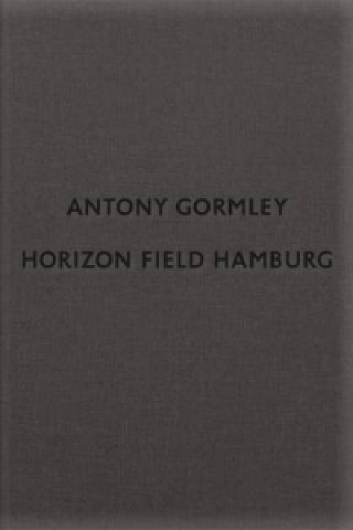 Antony Gormley: Horizon Field Hamburg