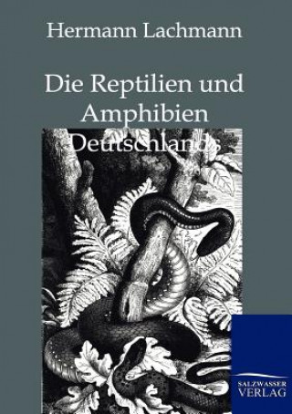Reptilien Und Amphibien Deutschlands