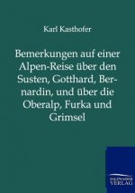 Bemerkungen auf einer Alpen-Reise uber den Susten, Gotthard, Bernardin, und uber die Oberalp, Furka und Grimsel