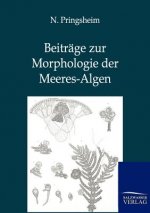 Beitrage zur Morphologie der Meeres-Algen