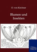 Blumen und Insekten