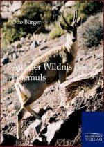 Aus der Wildnis des Huemuls